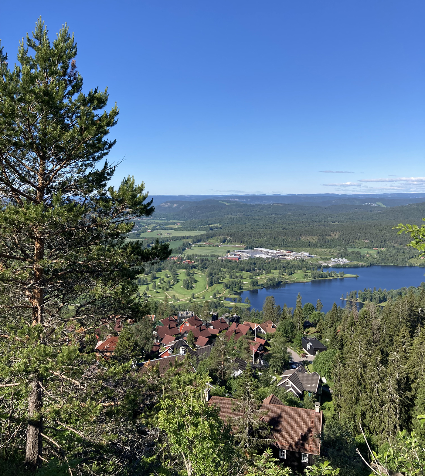 IMG_5884 kopier.jpg